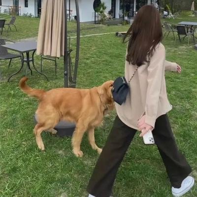随心所爱